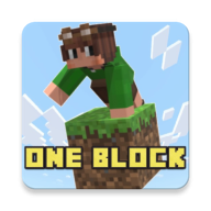 One Block Survival 40